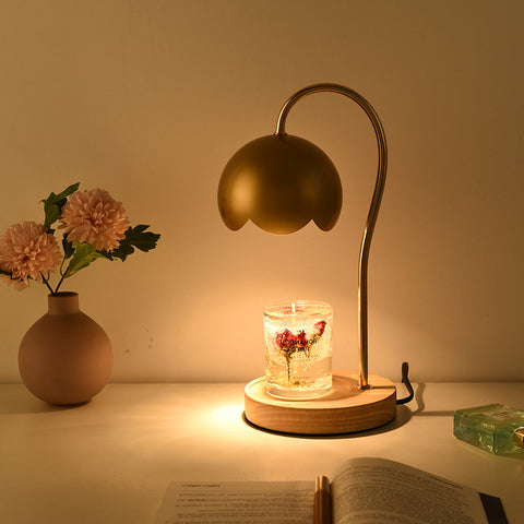 Roses Dimmable Ambient Light Fused Candle Scented Lamp